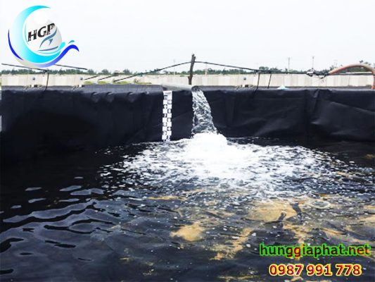 Địa Chỉ Bán Bạt HDPE Lót Ao Hồ Chứa Nước Nuôi Cá Tưới Cây Tại Bình Dương